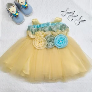 Floral Dream Baby Frock